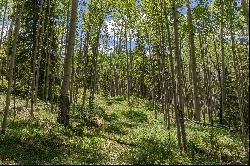 Land of Unparalleled Beauty Just Five Minutes From The Telluride Ski Resort