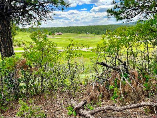 Pagosa Springs Land