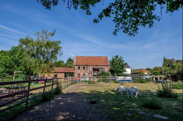 St. Johns Fen End