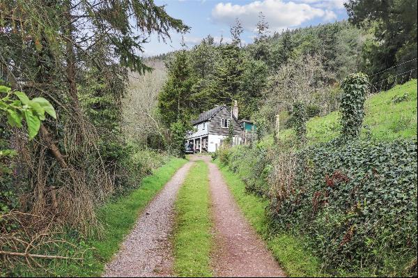 Knowle Lane, Dunster, Minehead