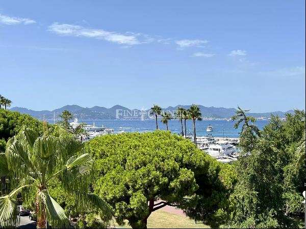 the Croisette, Cannes