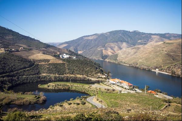 Beautiful, Detached Villa, Douro, Porto