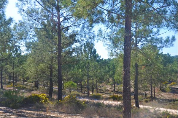 PREMIUM, LAND PLOT FOR VILLA CONSTRUCTION, CARVALHAL, COMPORTA