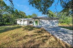 12240 Eakin Street, Weeki Wachee FL 34614