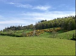 Land At Gatehouse Of Fleet, Gatehouse of Fleet, Castle Douglas, Dumfries and Galloway, DG