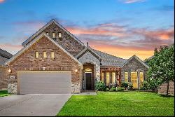 6432 Dove Chase Lane, Fort Worth TX 76123