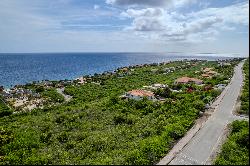 Coral Estate Ocean View Lot 508