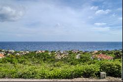 Coral Estate Ocean View Lot 508