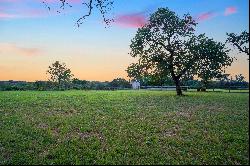 Stunning Single-Story in Exclusive Gated Section of Ruby Ranch, Buda, Texas