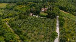 Il Cortile Country house with pool and land,Montalcino,Siena - Tuscany