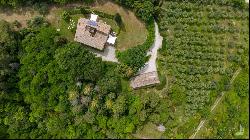 Il Cortile Country house with pool and land, Montalcino, Siena-Tuscany