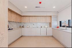 marvelous penthouse with a privileged view