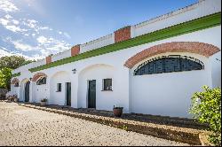 Rural Estate with Main House and Guest Suites