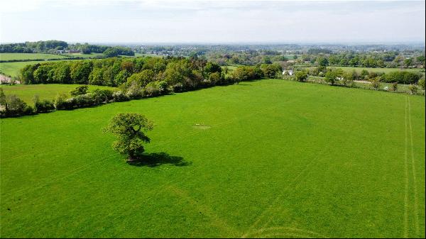 Lot 8: Land and Woodland At Skitebeck, Great Corby, Carlisle, Cumbria, CA4 8NH