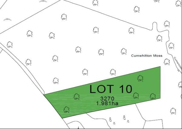 Lot 10: Part Cumwhitton Moss Woodland, Heads Nook, Brampton, Cumbria, CA8 9BZ