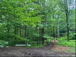 55 Voss Road, Claryville NY 12725