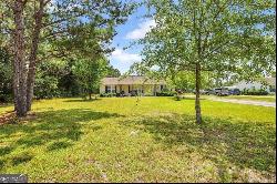 234 Jason Street, Nahunta GA 31553