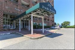 215 Brooke Avenue Unit 608, Norfolk VA 23510