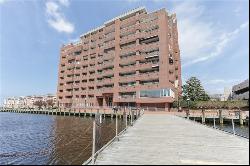 215 Brooke Avenue Unit 608, Norfolk VA 23510