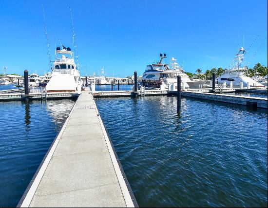 Ocean Reef Marina - DS-11