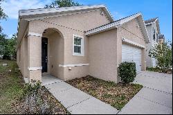 10212 Hawk Storm Avenue, Tampa FL 33610