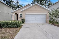 10212 Hawk Storm Avenue, Tampa FL 33610