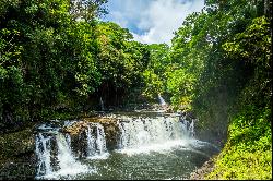 272 Kaiulani Street, Hilo, HI 96720