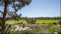 Exceptional property, private access to Brejos beach, overlooking the rice fields of Compo