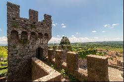 Incomparable Medieval Castle in Torre Alfina