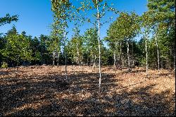 Lot 9 Acadia View Circle