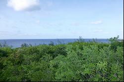 Elevated Lot with Atlantic Views