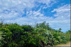 Elevated Lot with Atlantic Views