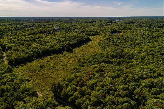 Vacant Land in Muskoka