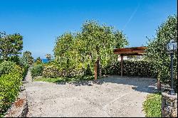 Charming villa with sea view in Forio