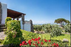 Charming villa with sea view in Forio