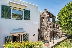 Charming villa with sea view in Forio