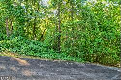 0 Timber Creek Dr #LOT 112, Clayton GA 30525