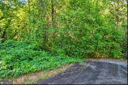 0 Timber Creek Dr #LOT 112, Clayton GA 30525