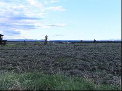 NNN Catfish Lane, West Yellowstone MT 59758