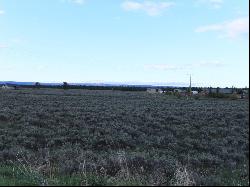 NNN Catfish Lane, West Yellowstone MT 59758