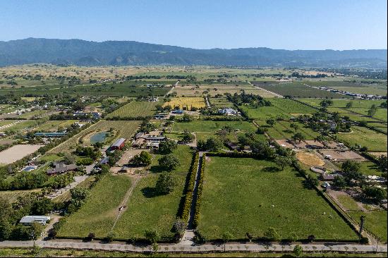 For The Love Of Horses & Vineyards