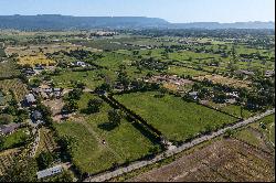 For The Love Of Horses & Vineyards