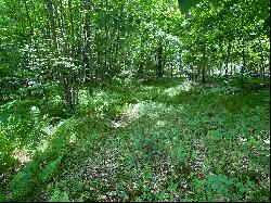 Beautiful Vacant Lots in Sharon, CT