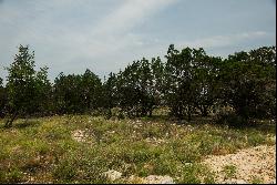 633 Travis Forest Drive, Bulverde, TX 78163