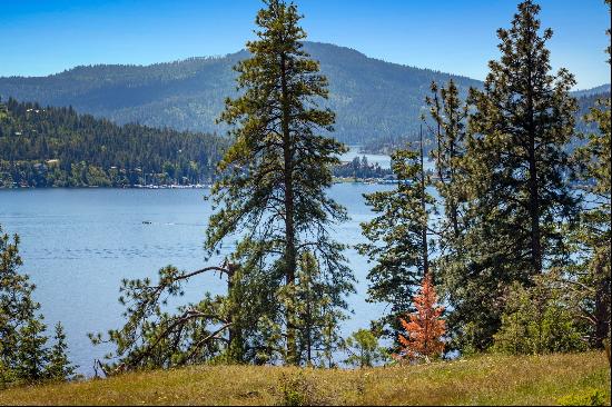 Stunning Lake Views Close In Syringa Heights