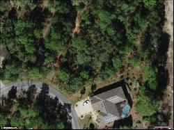 12 Hackberry Court N, Homosassa FL 34446