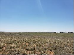 Rabbit Run Court, Moriarty NM 87035