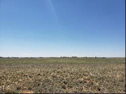 Rabbit Run Court, Moriarty NM 87035