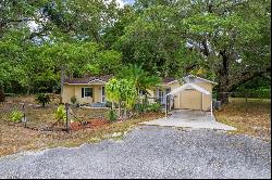 16637 Livingston Avenue, Lutz FL 33559