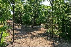 Lot 2 Wooldridge Avenue, Pewee Valley, KY 40056